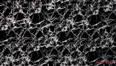 Tranh Tráng Gương