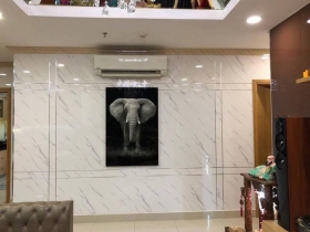 Mẫu Tấm Nhựa Giả Đá PAK-01