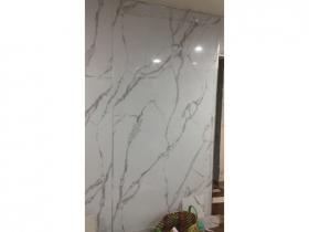 Tấm nhựa ốp tường PAK-64H