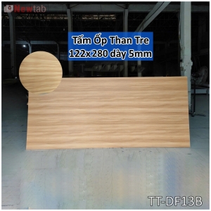 Tấm Ốp Than Tre Độ Dày 5mm-DF13B