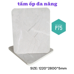 Tấm Ốp Than Tre KB - P75