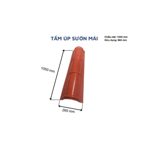 Tấm Úp Sườn Mái