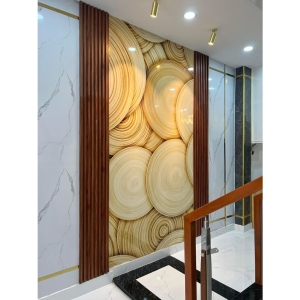 Tranh Tráng Gương 