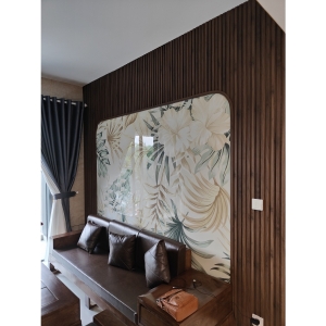 Tranh Tráng Gương