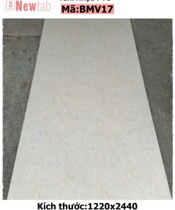 Tấm Nhựa PVC Vân Đá mã – BMV17