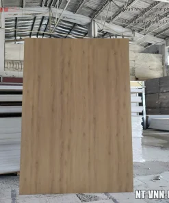 Ván Nhựa Nội Thất Phủ Film 2 Mặt 122x244 8-12mm-F26