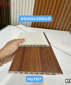 Thanh Lam Sóng -Mã HY107