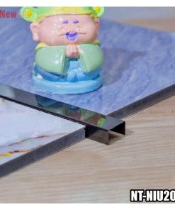 Nẹp Inox Chữ U -Mã NT-NIU20D