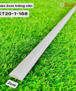 Phào Chỉ -Mã Phào Nhựa PS Trắng Cân KT20-1-168